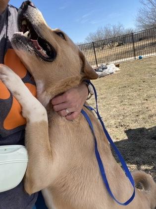 Ransom — thumbnail 2