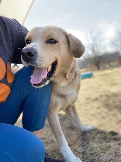 Ransom — thumbnail 3