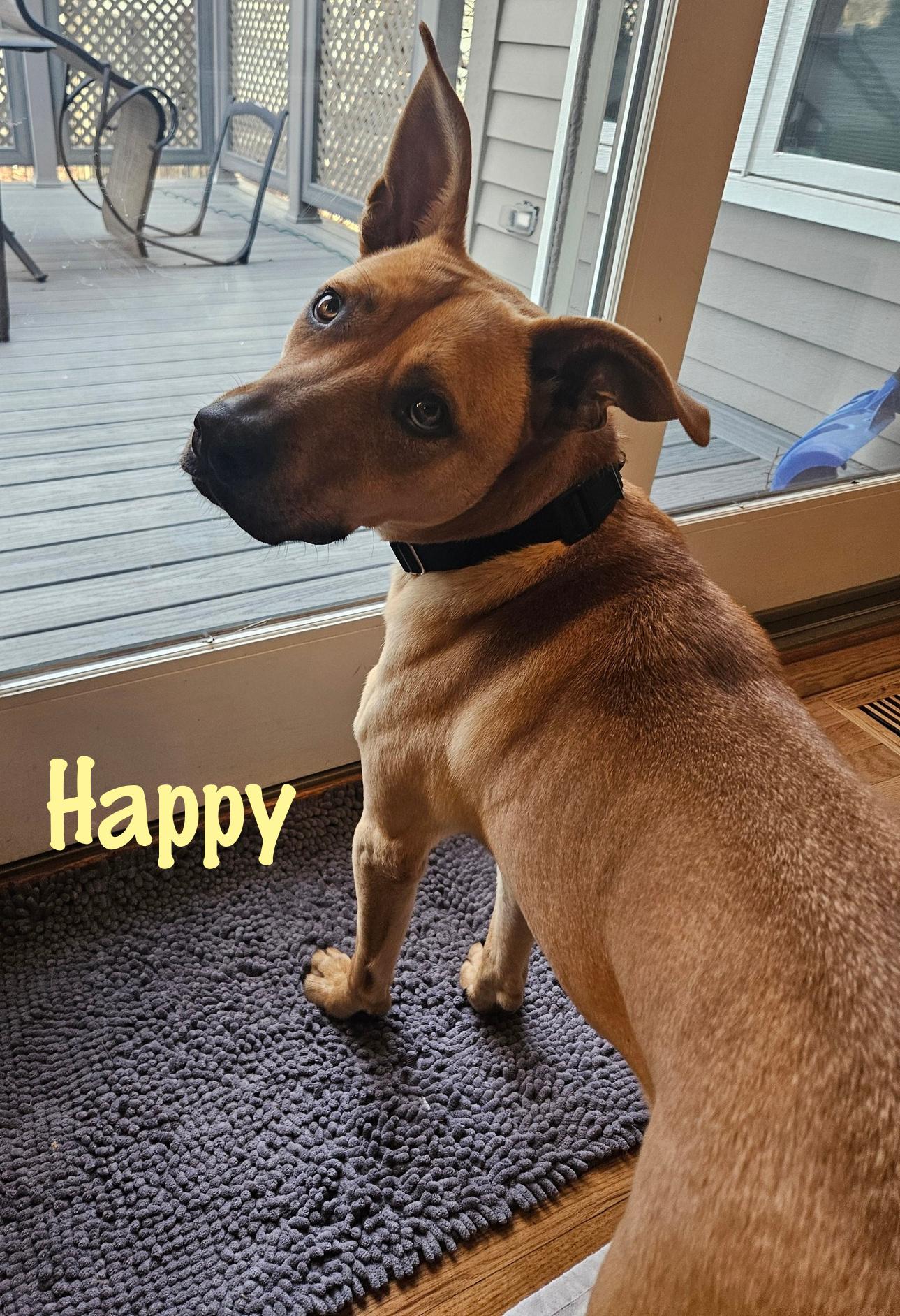 Happy — thumbnail 2