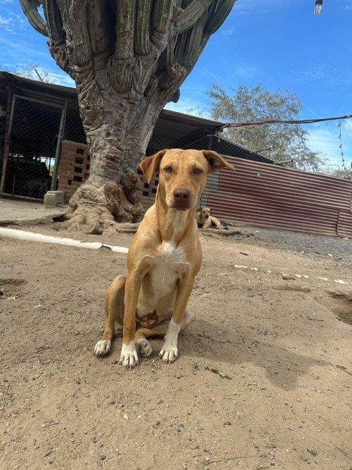 Paulina — thumbnail 2