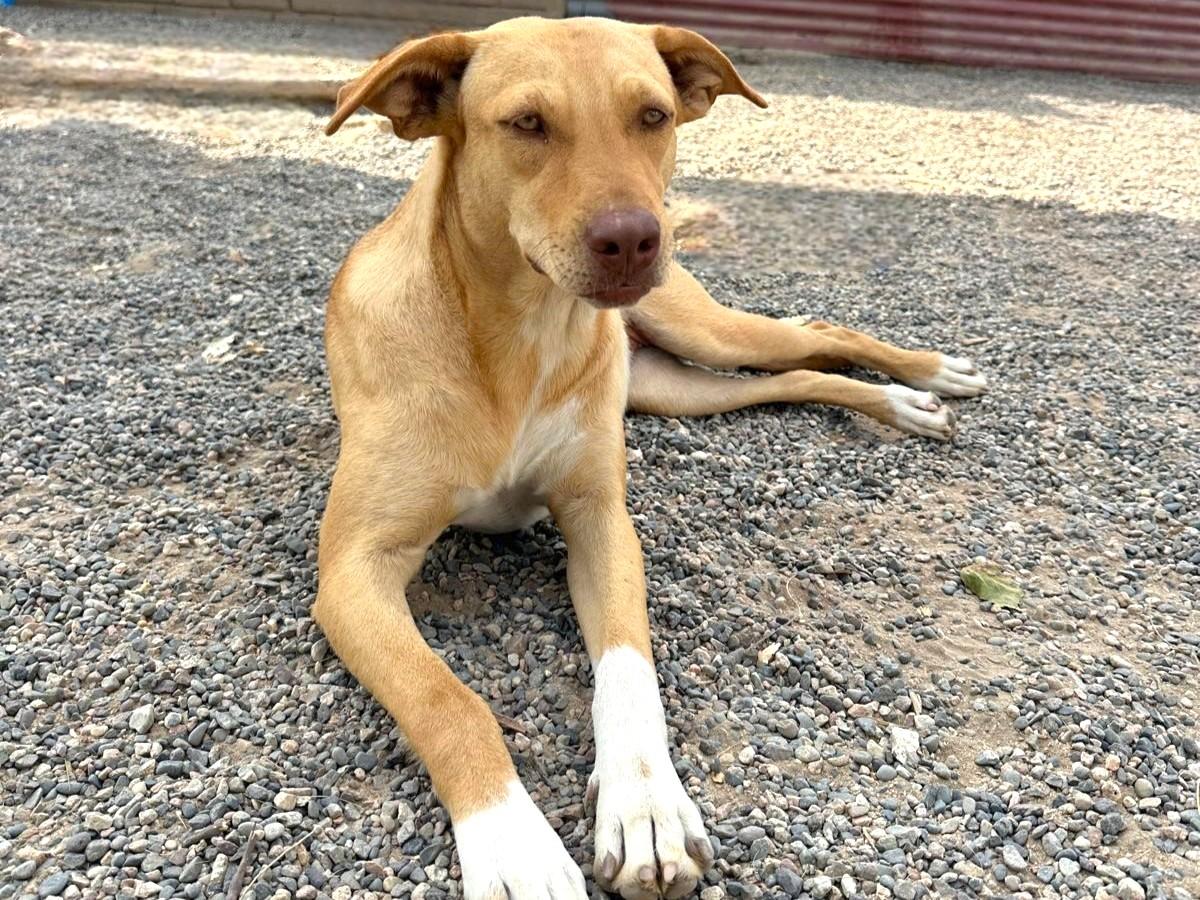 Paulina — thumbnail 6