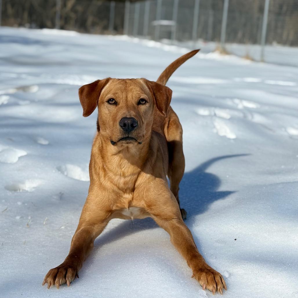 Wheatley thumbnail 2