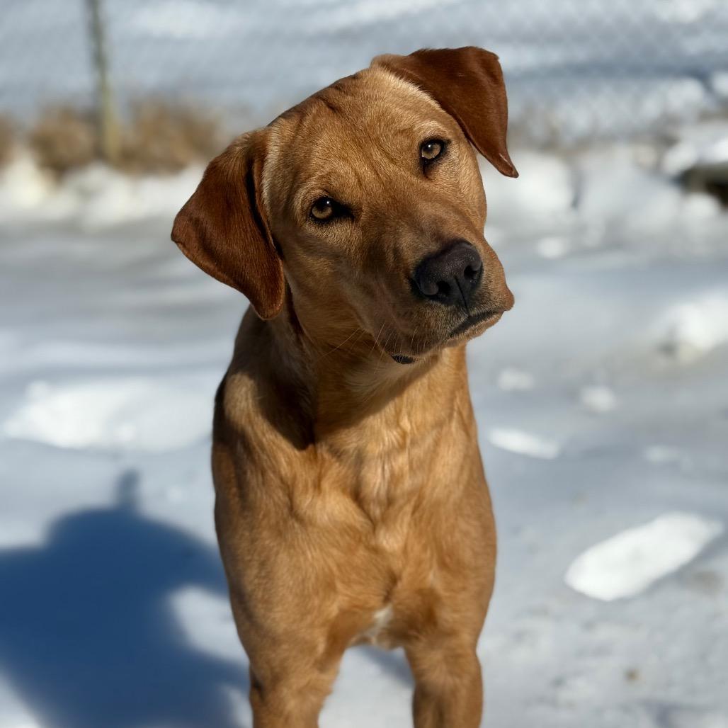 Wheatley thumbnail 3