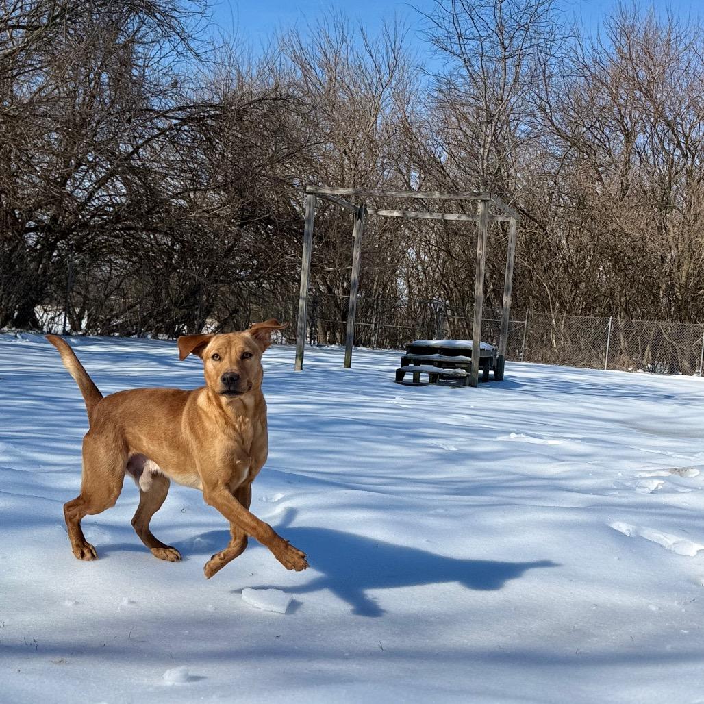 Wheatley thumbnail 4