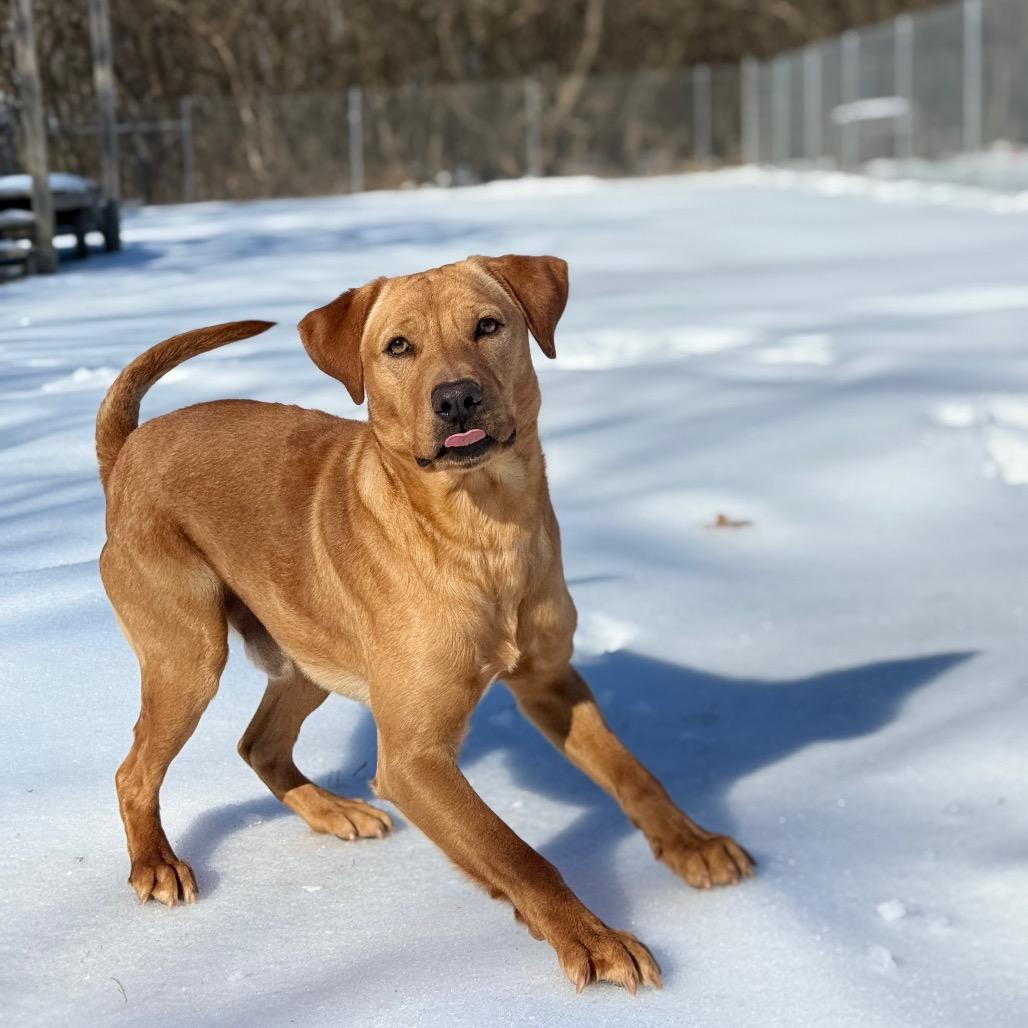 Wheatley thumbnail 5