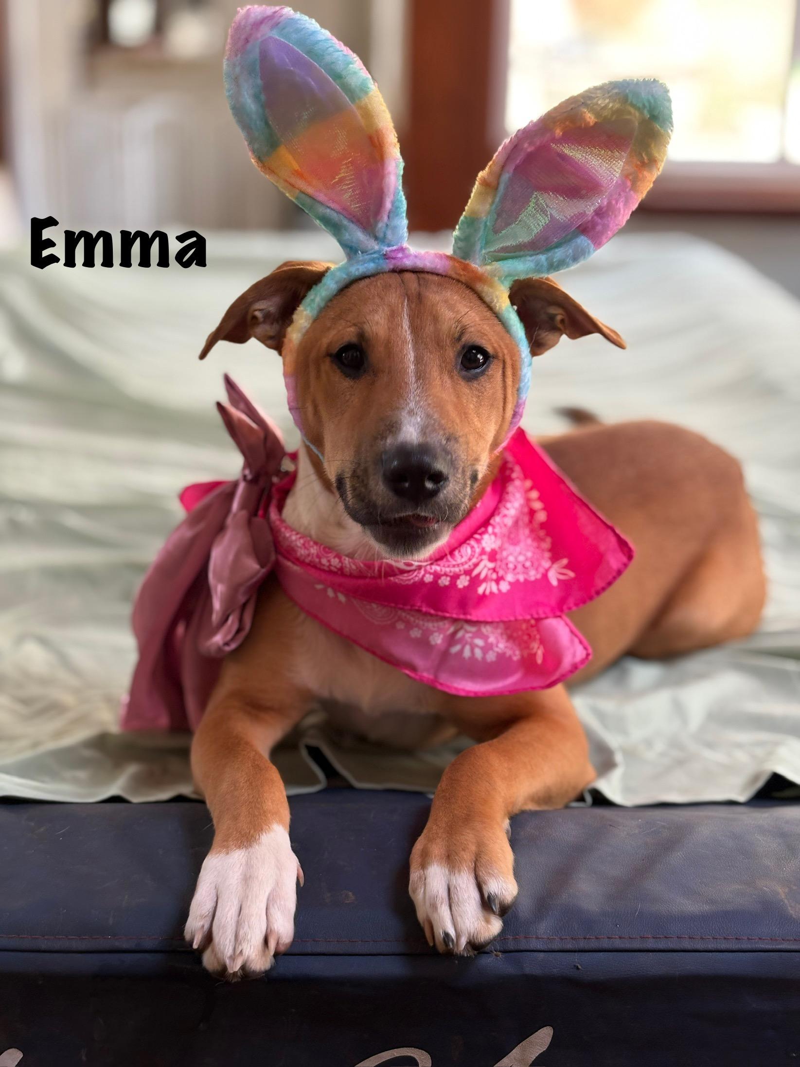 Julia and Emma can be adopted separately photo 6