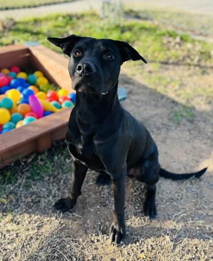 Tony — thumbnail 4