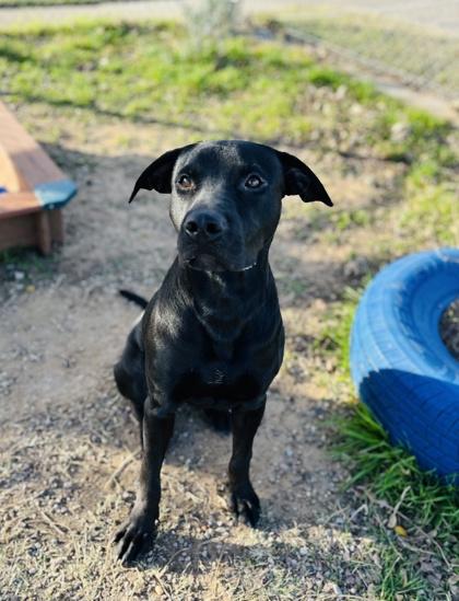 Tony — thumbnail 5