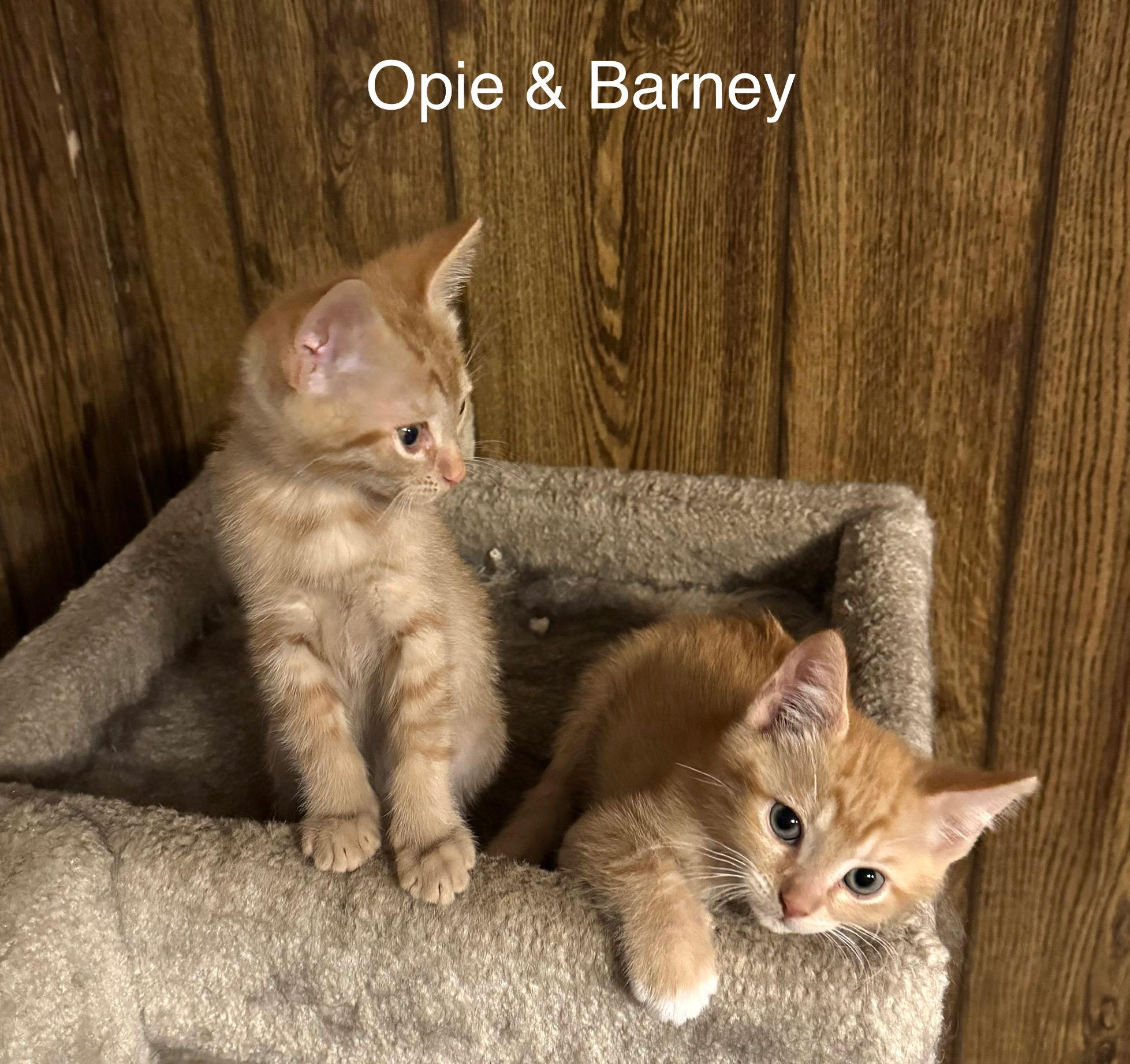 Opie