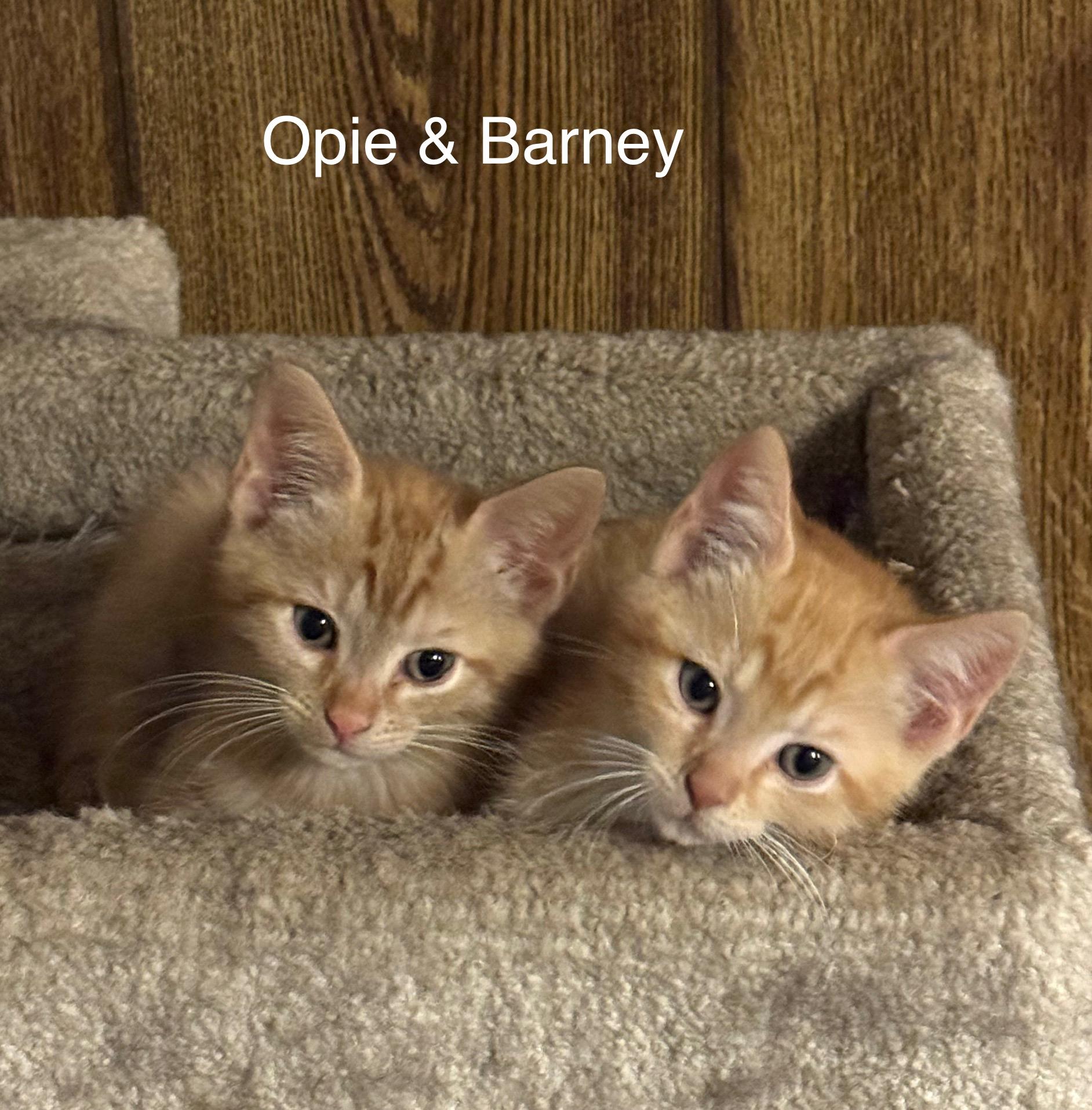 Opie