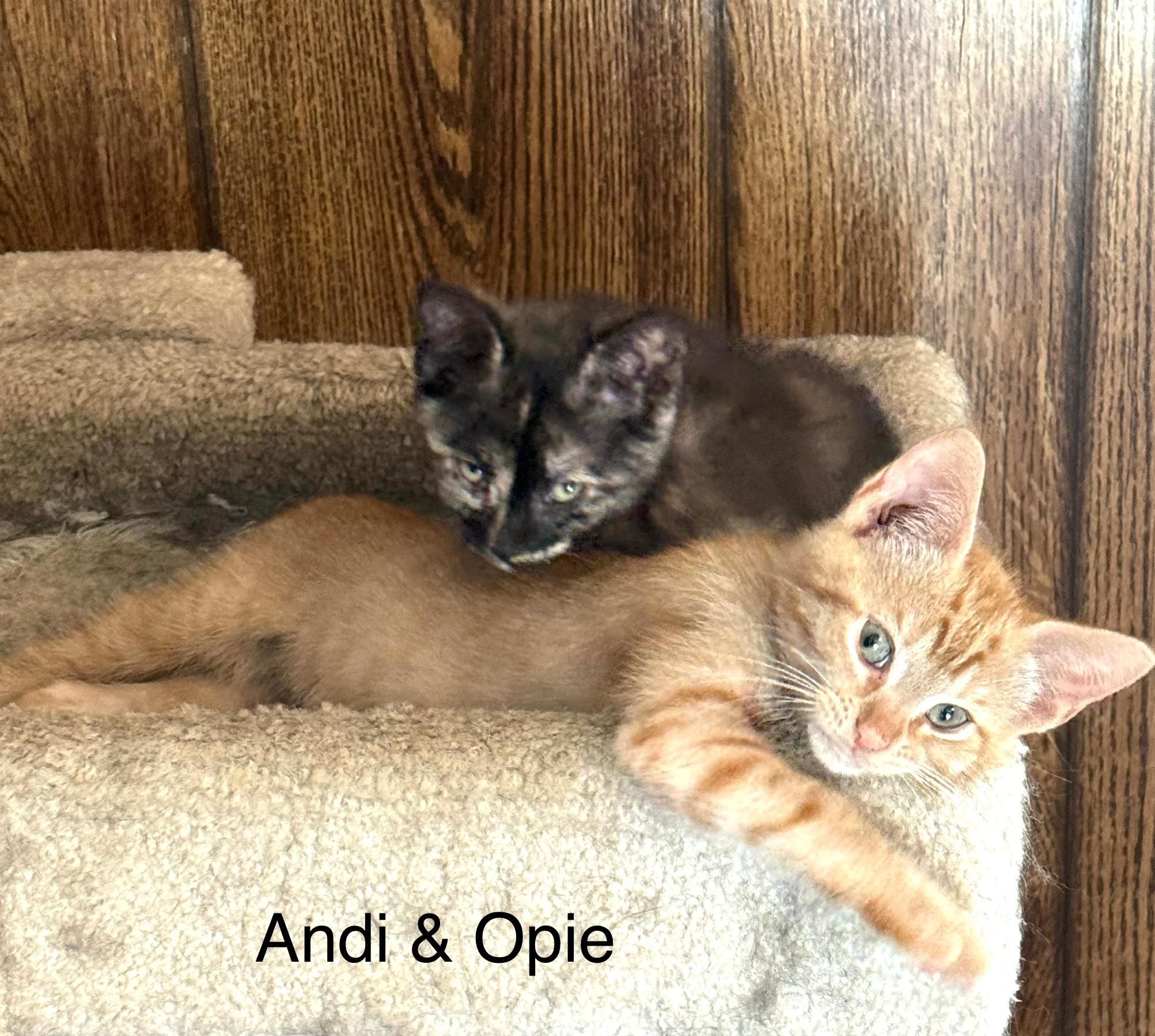 Opie