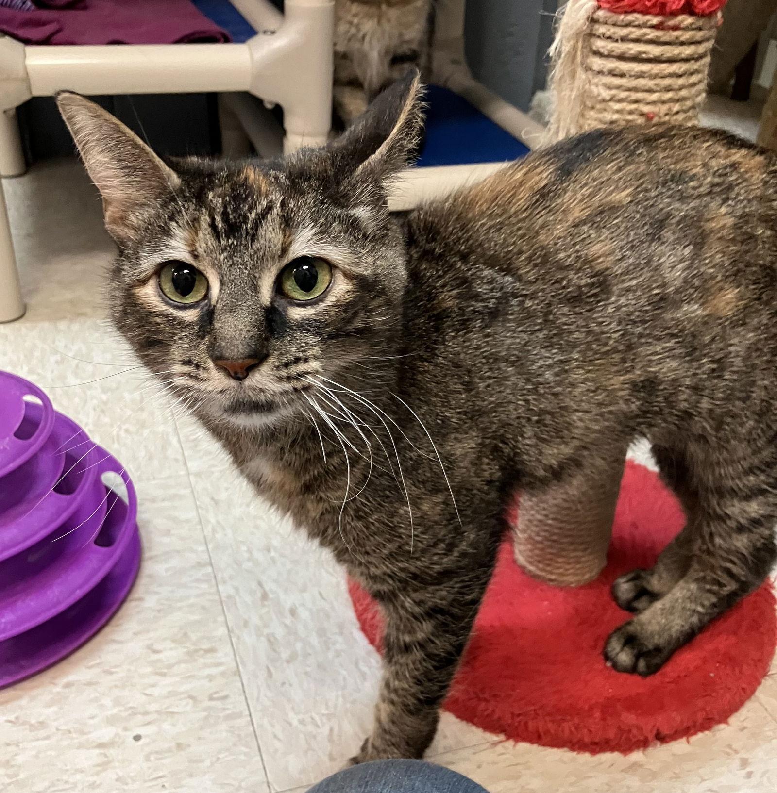 Juliana — thumbnail 3