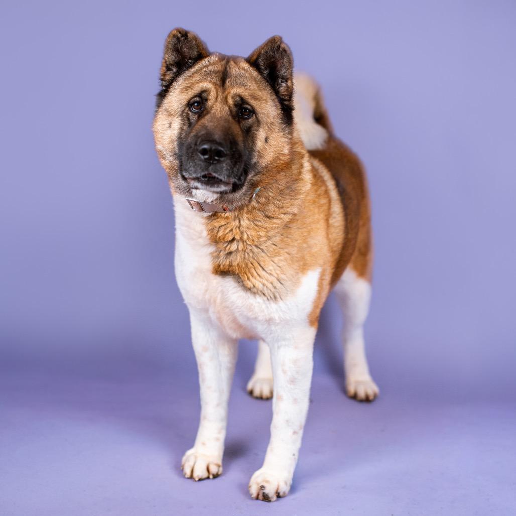 Lilly Luann thumbnail 2