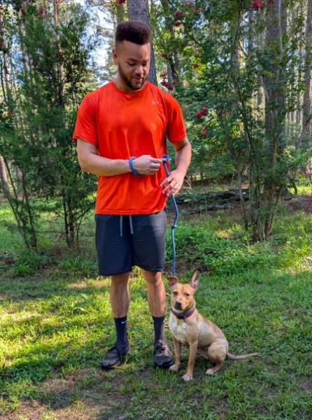 Enlarge Oriole - AVAILABLE TO FOSTER OR ADOPT, a ADOPTABLE Mixed Breed in Clayton, NC image 4/6