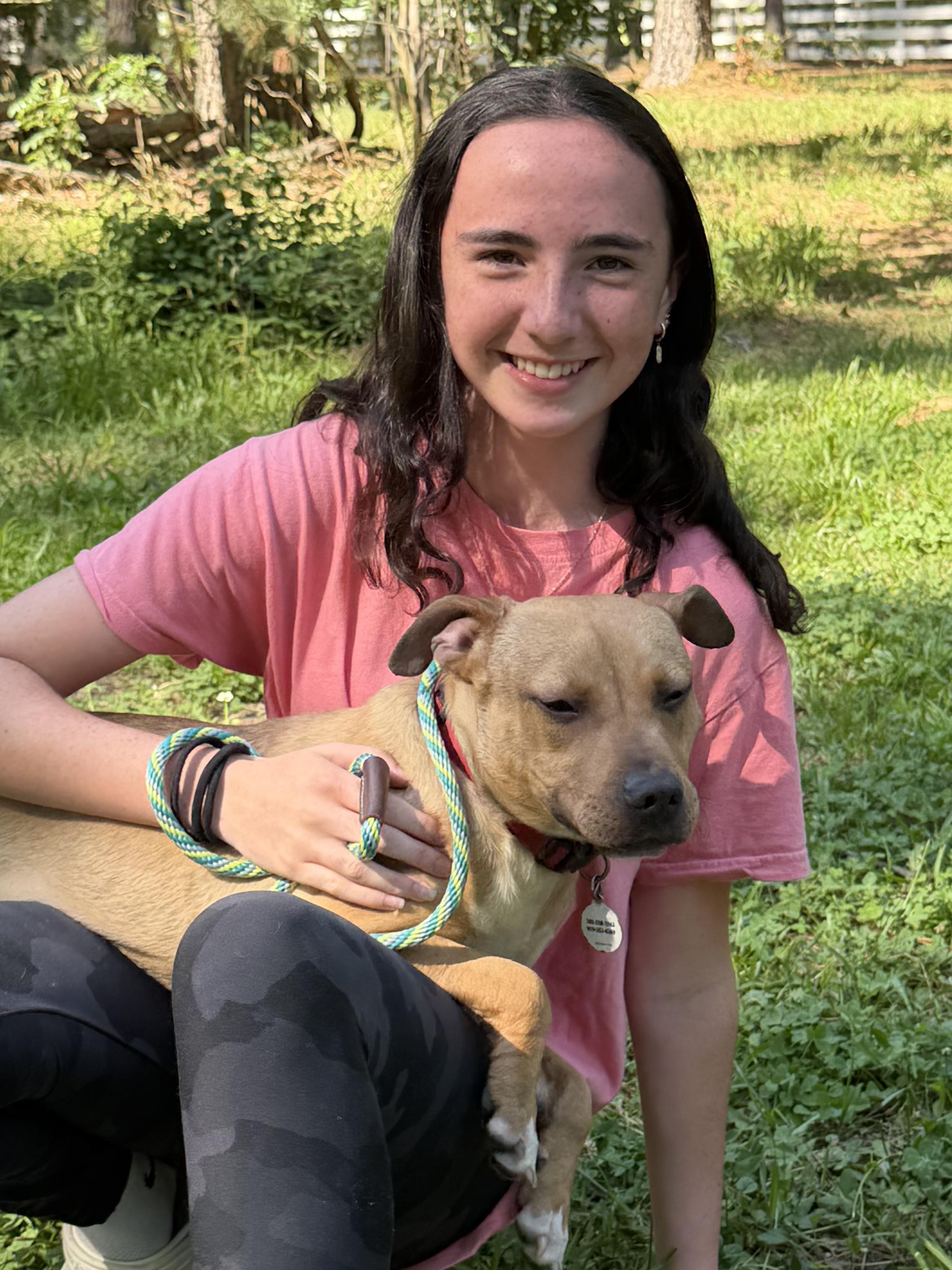Enlarge Oriole - AVAILABLE TO FOSTER OR ADOPT, a ADOPTABLE Mixed Breed in Clayton, NC image 3/6