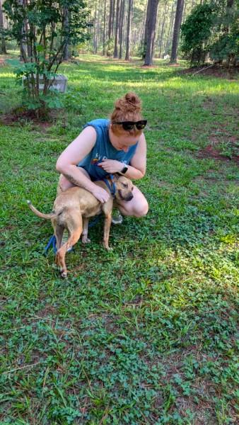 Enlarge Oriole - AVAILABLE TO FOSTER OR ADOPT, a ADOPTABLE Mixed Breed in Clayton, NC image 5/6