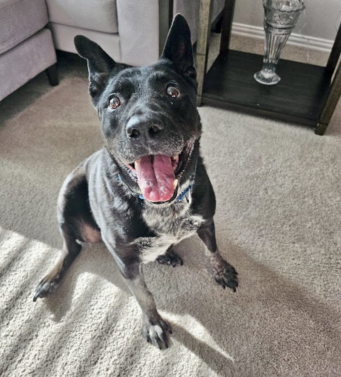 Daisy — thumbnail 5