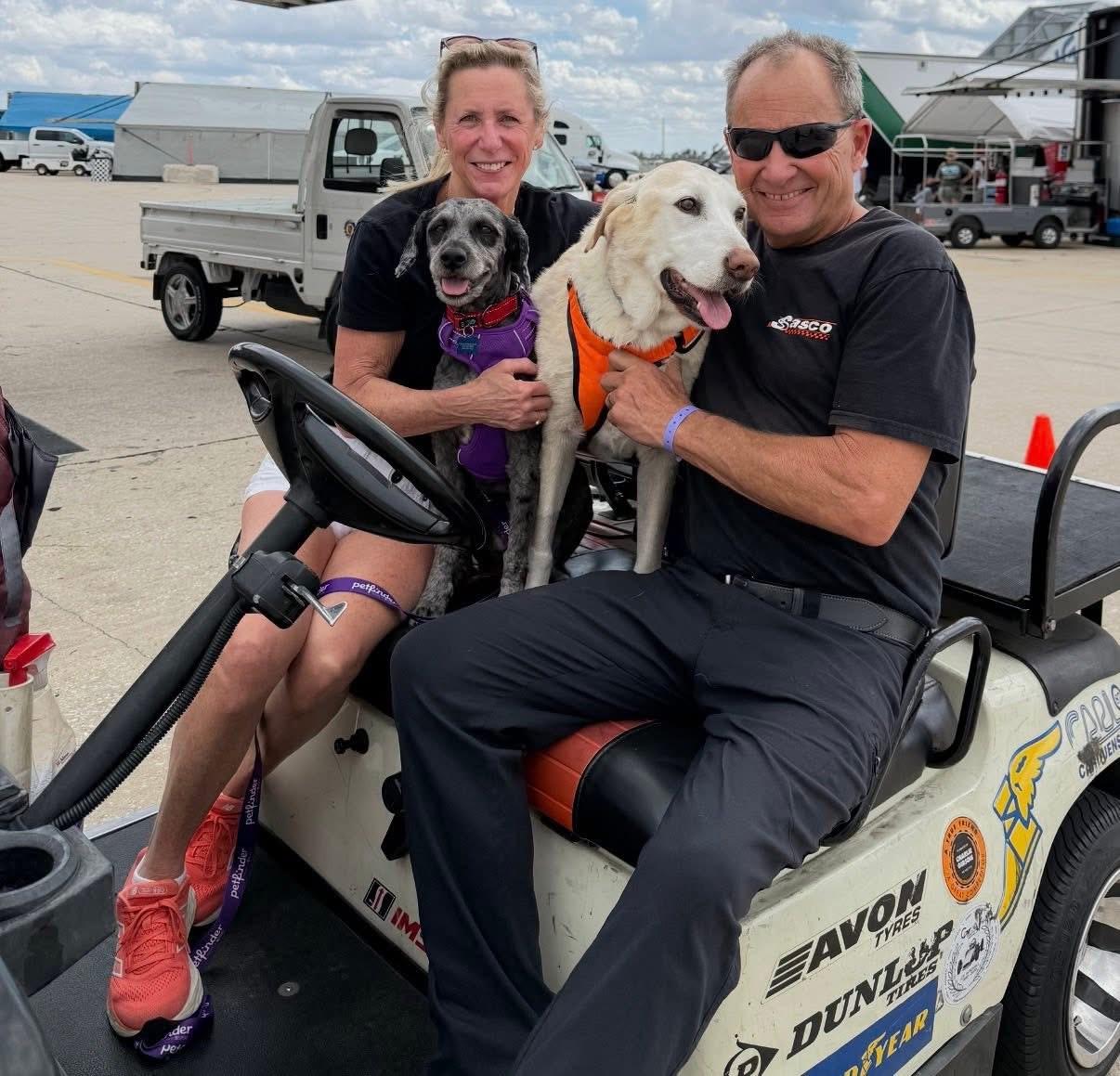 Enlarge Millie, an adoptable mixed breed in Blanch, NC image 4/6