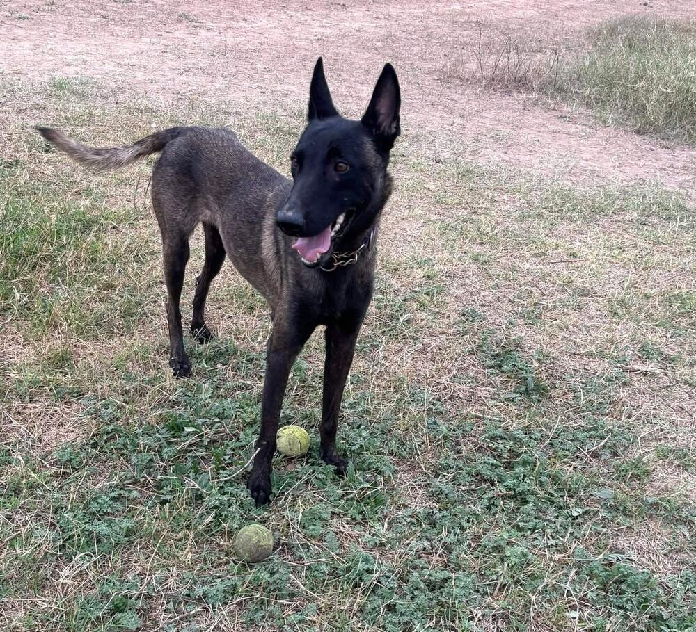 Sienna  Located In thumbnail 4