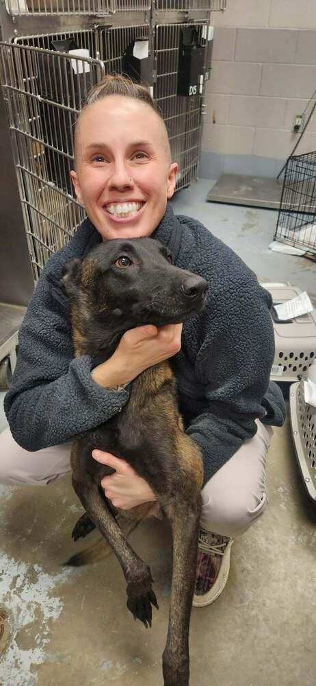 Sienna  Located In thumbnail 5