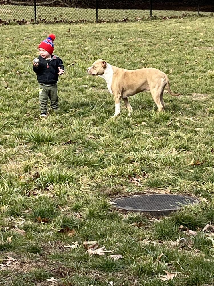 Nova Noodle thumbnail 5