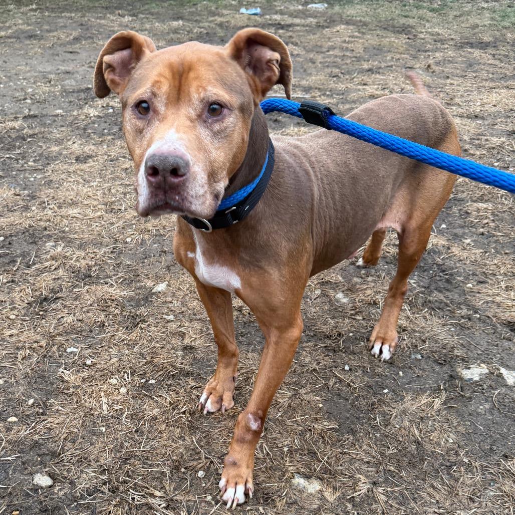 Lilac Wiggleton — thumbnail 4