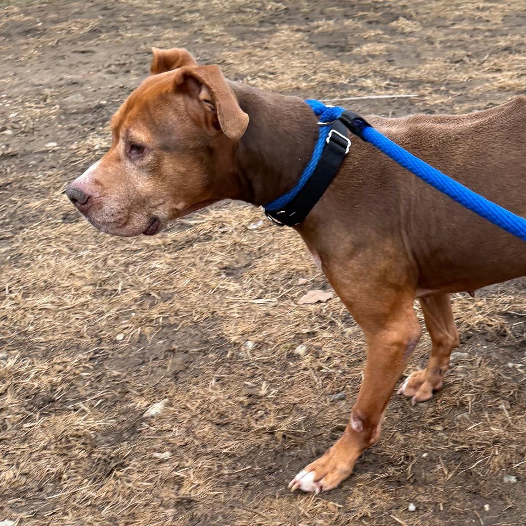 Lilac Wiggleton — thumbnail 6