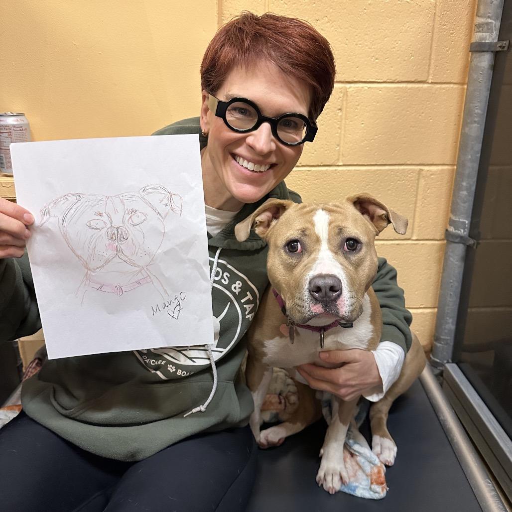 Enlarge Mango, a Adoptable Mixed Breed in Waukesha, WI image 3/6