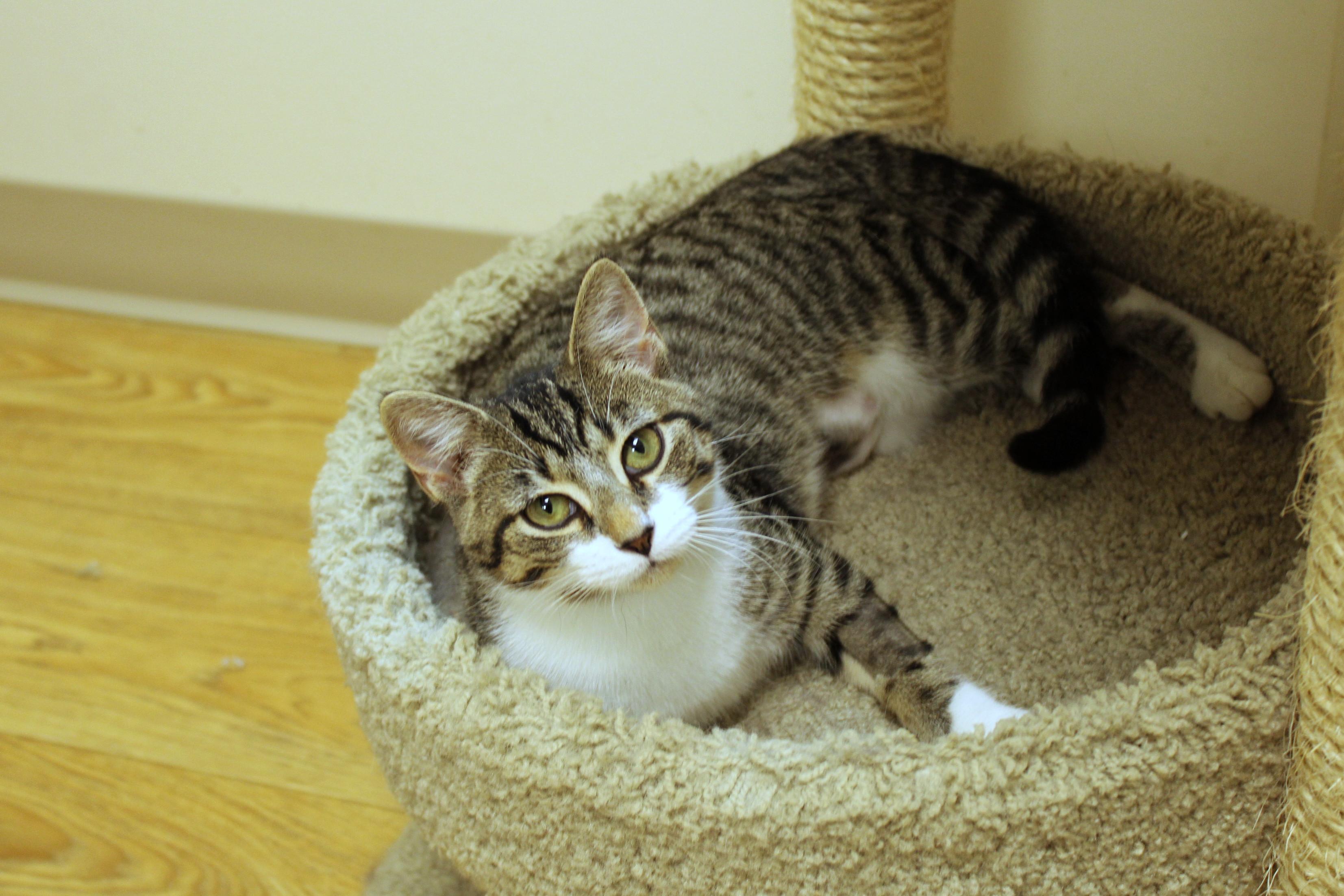 Tallulah thumbnail 5