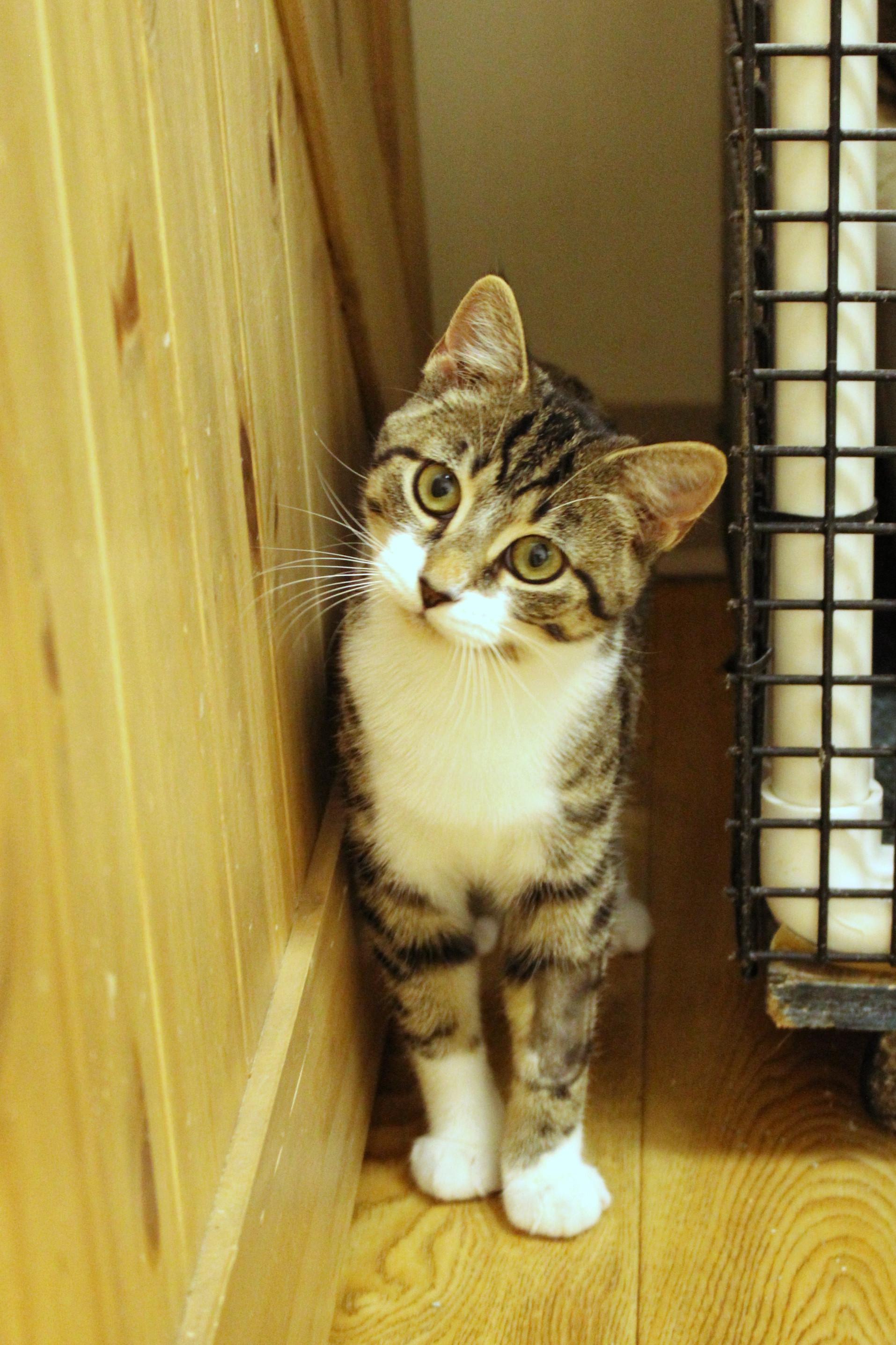 Tallulah thumbnail 7