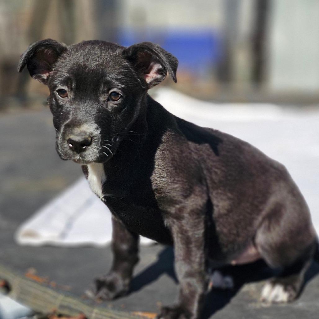 Kessi — thumbnail 2