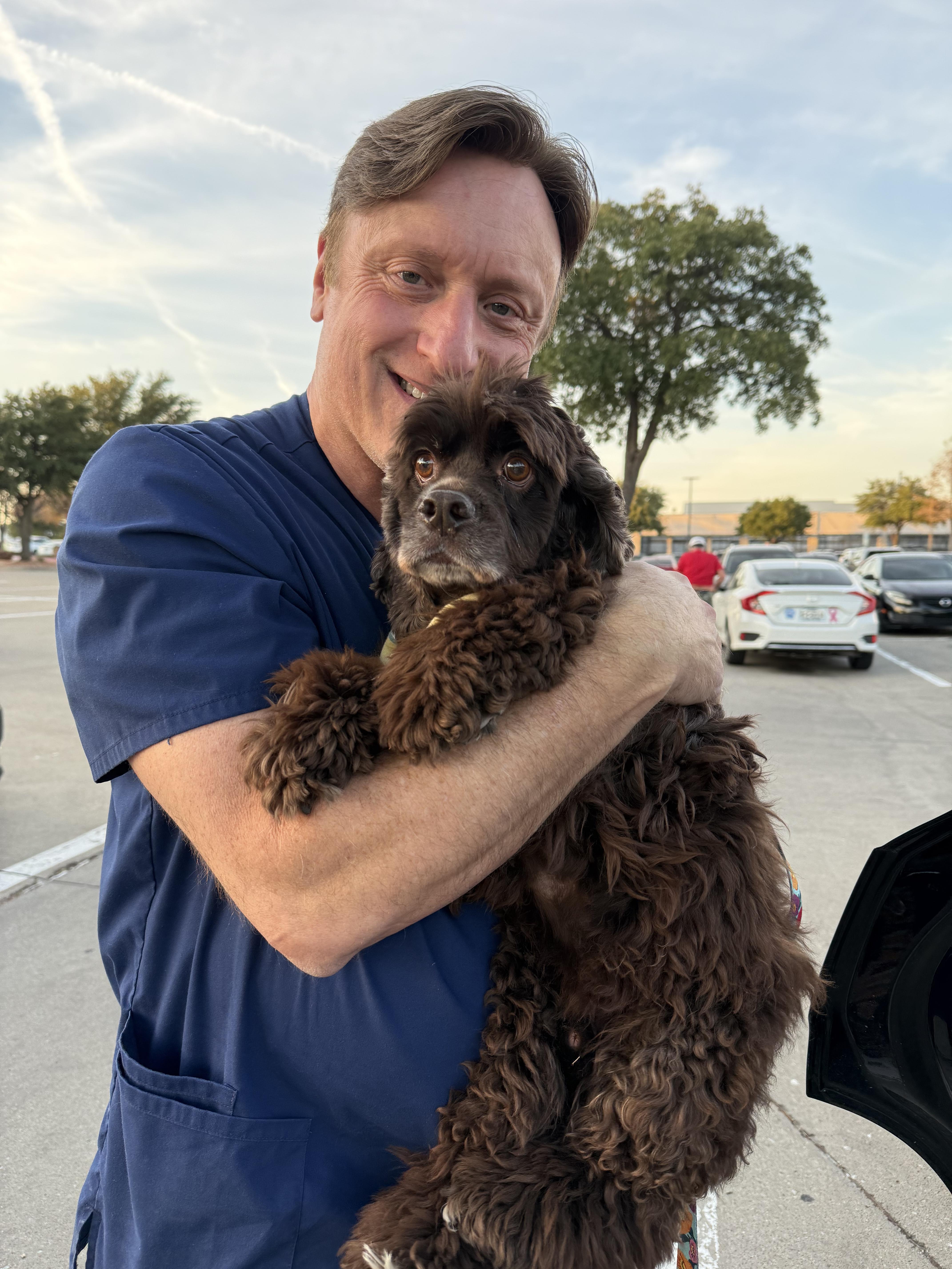 Enlarge Rollo, a Adoptable Cocker Spaniel in Plano, TX image 4/5