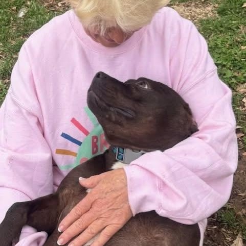 Boogie — thumbnail 5