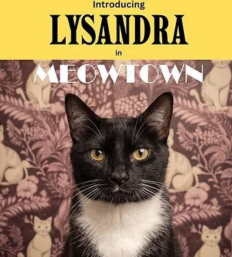 Enlarge Lysandra, a Adoptable American Bobtail in Herndon, VA image 1/1