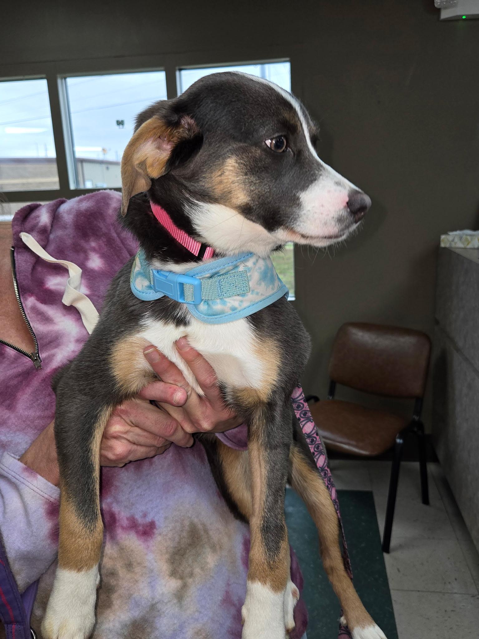 Claire Caring — thumbnail 3