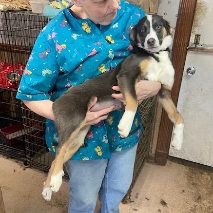 Claire Caring — thumbnail 4