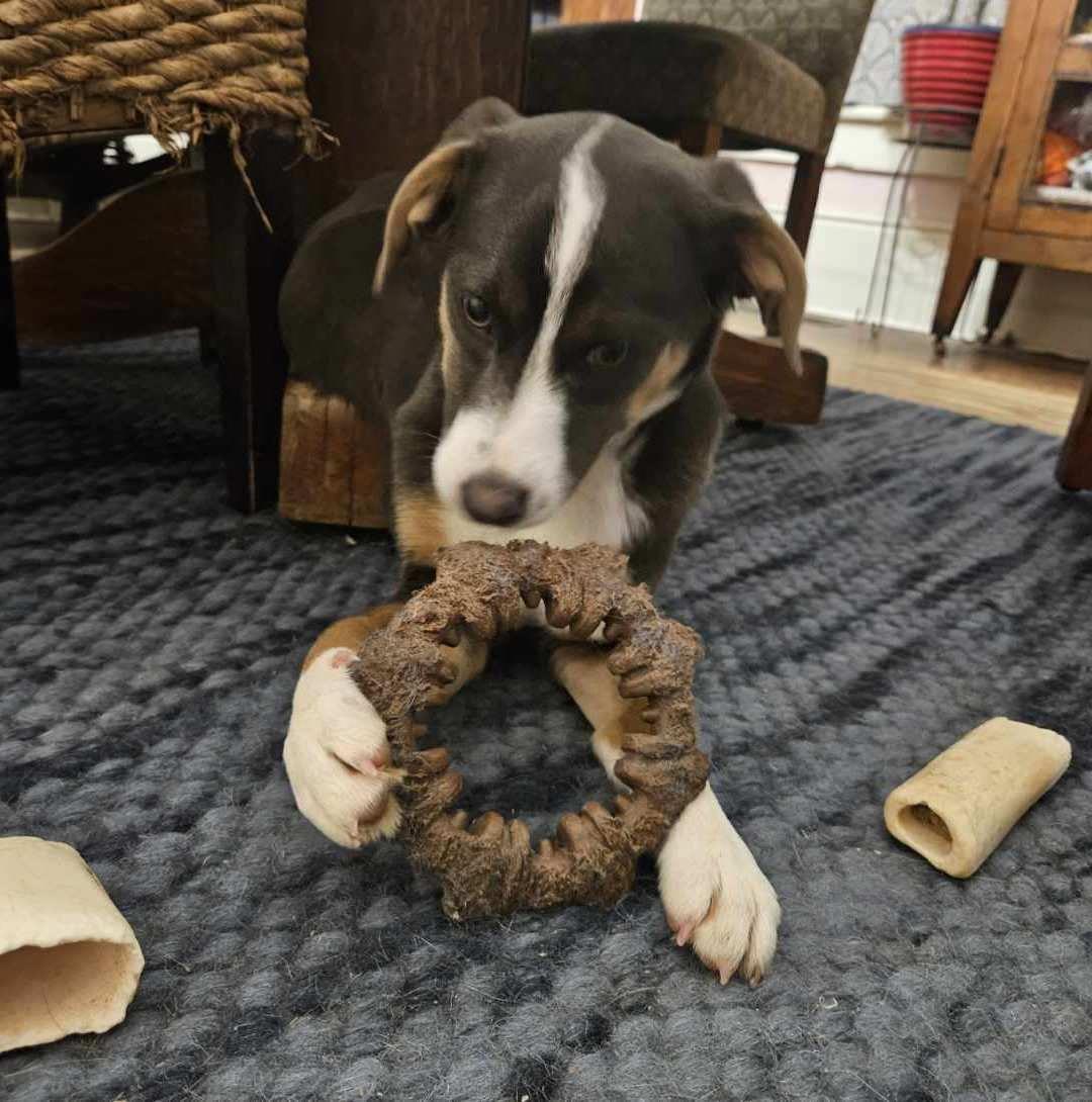 Claire Caring — thumbnail 5