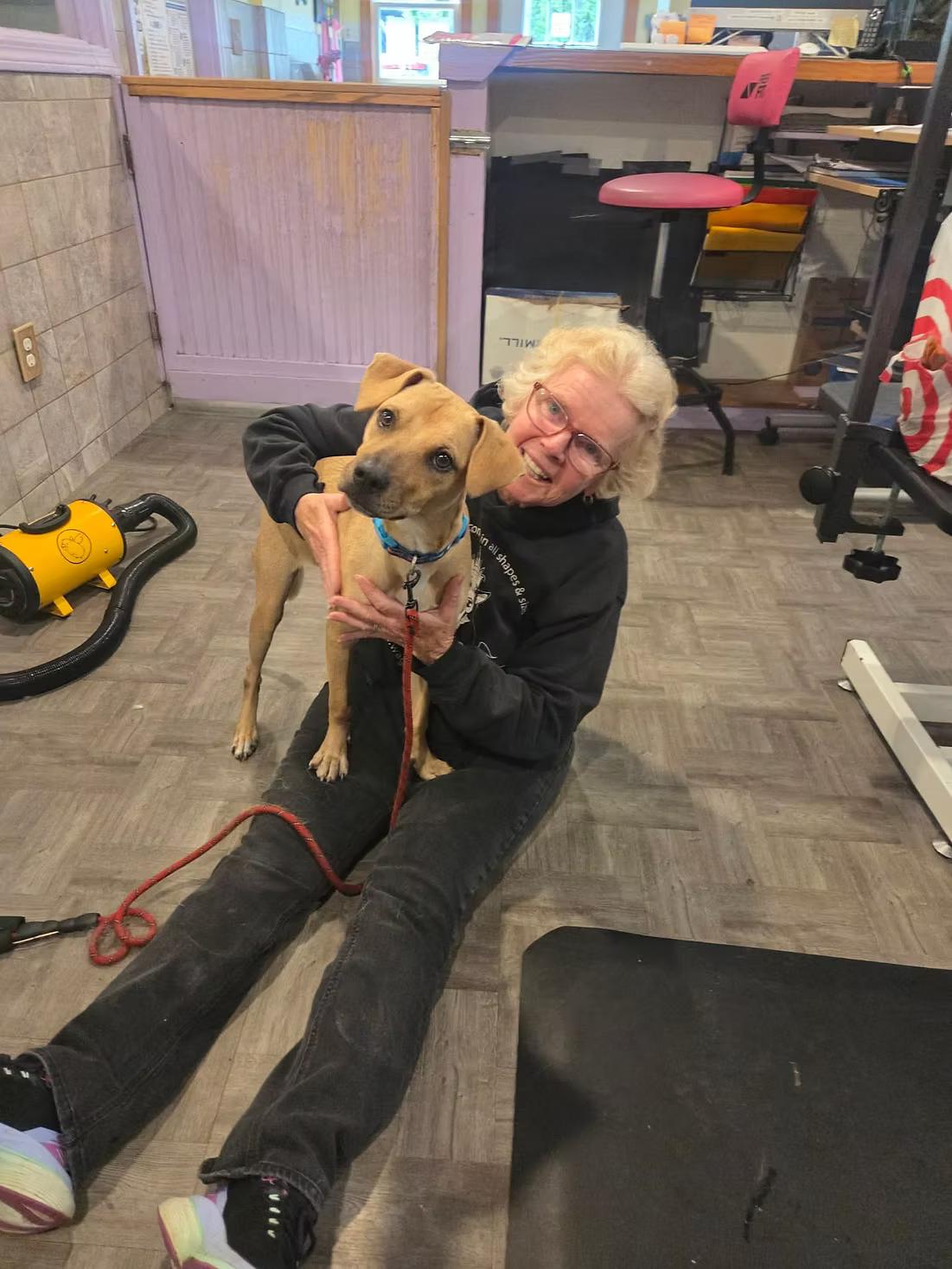 Enlarge Honey - in Maine, a ADOPTABLE Mixed Breed in Kennebunkport, ME image 4/4