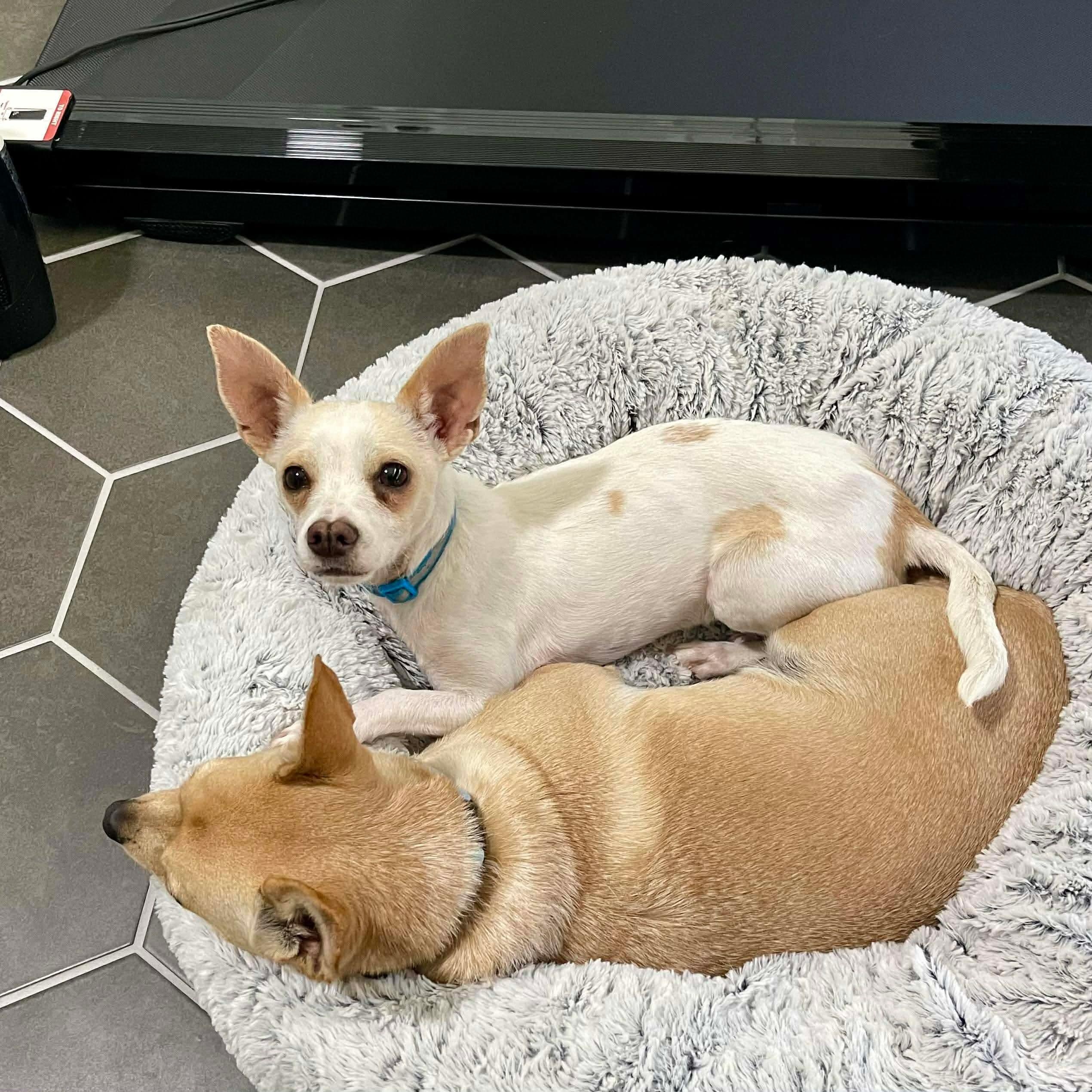 Miguel — thumbnail 6