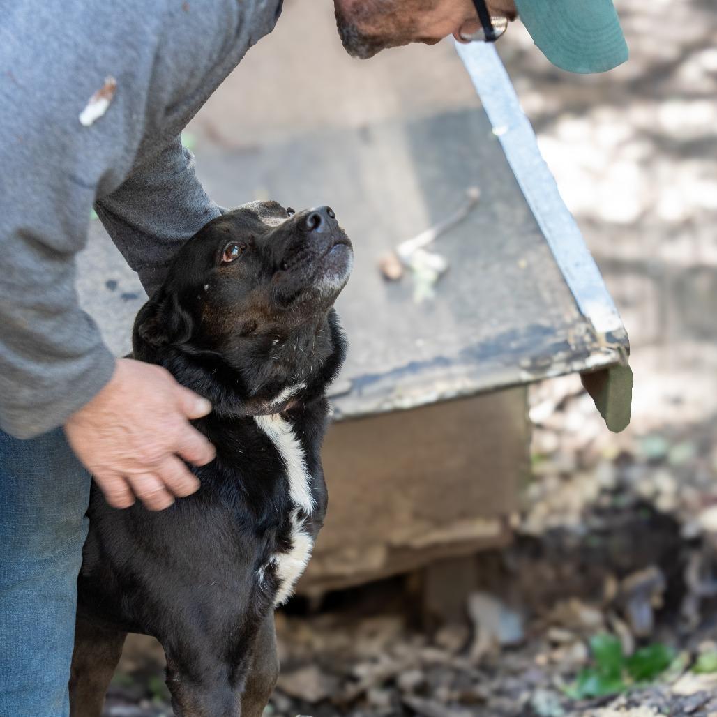 CRUNCHY MOJO — thumbnail 2