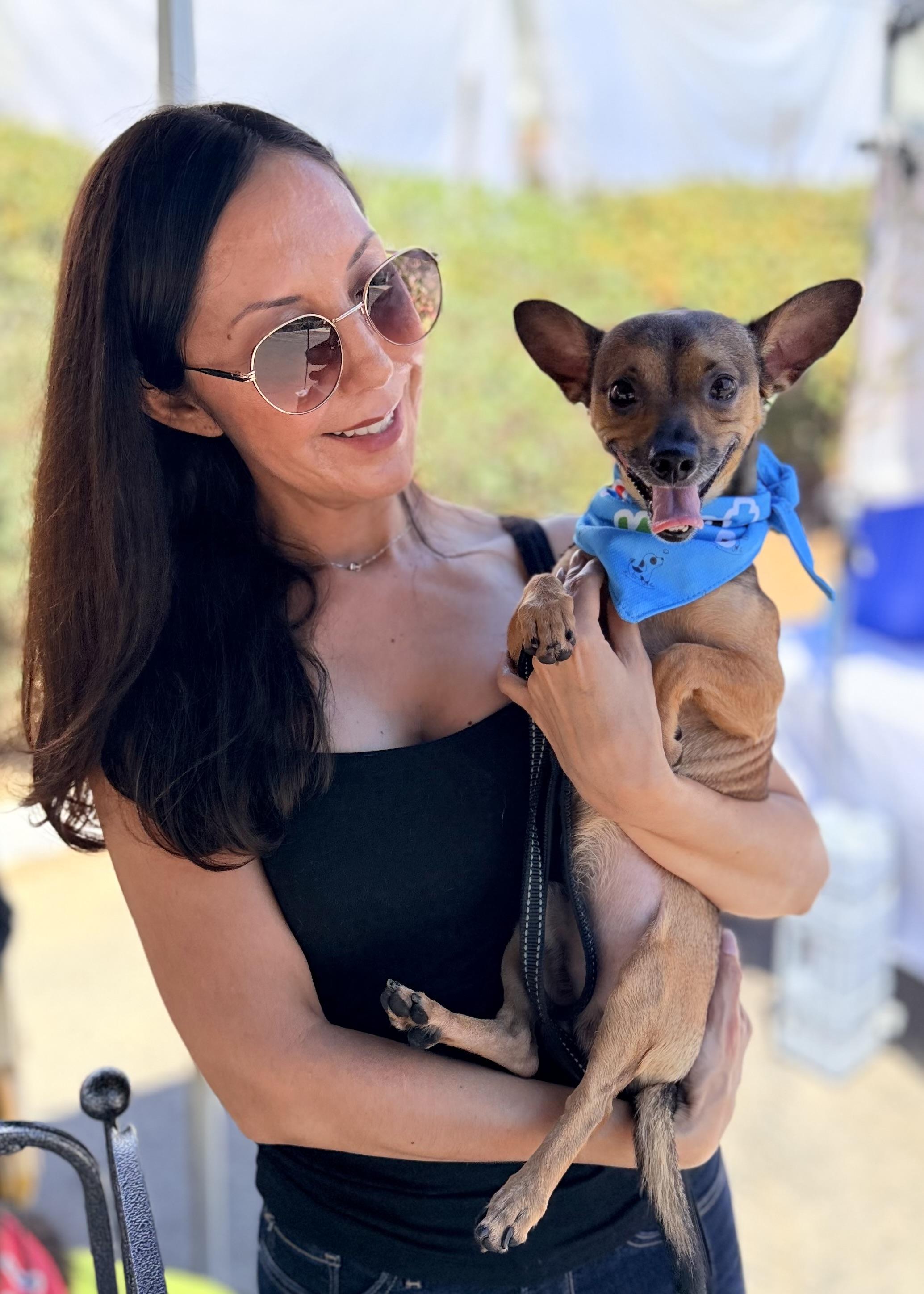 Enlarge Teddy, a ADOPTABLE mixed breed in Thousand Oaks, CA image 2/6