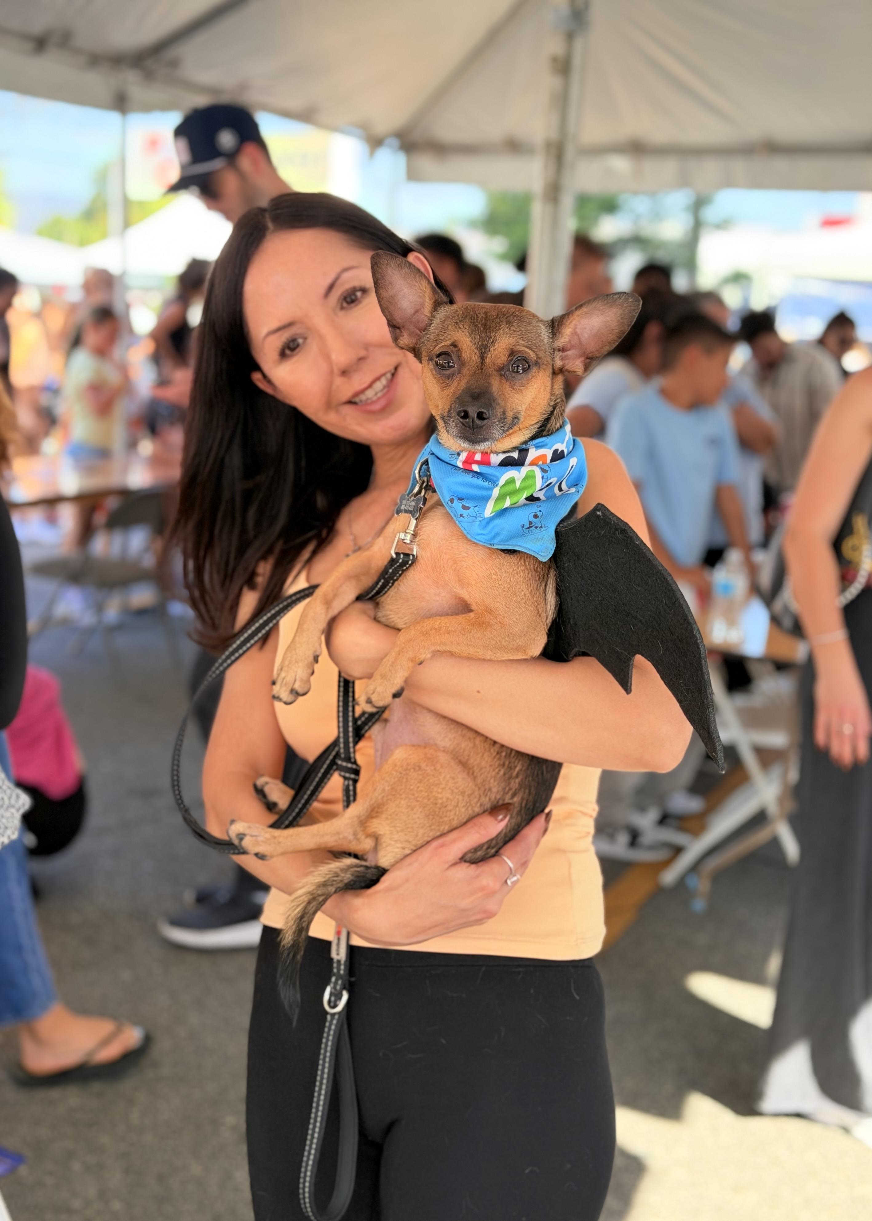 Enlarge Teddy, a Adoptable mixed breed in Thousand Oaks, CA image 2/6