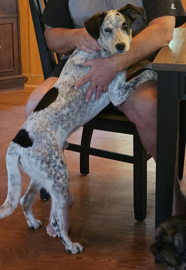 Hunter photo 5