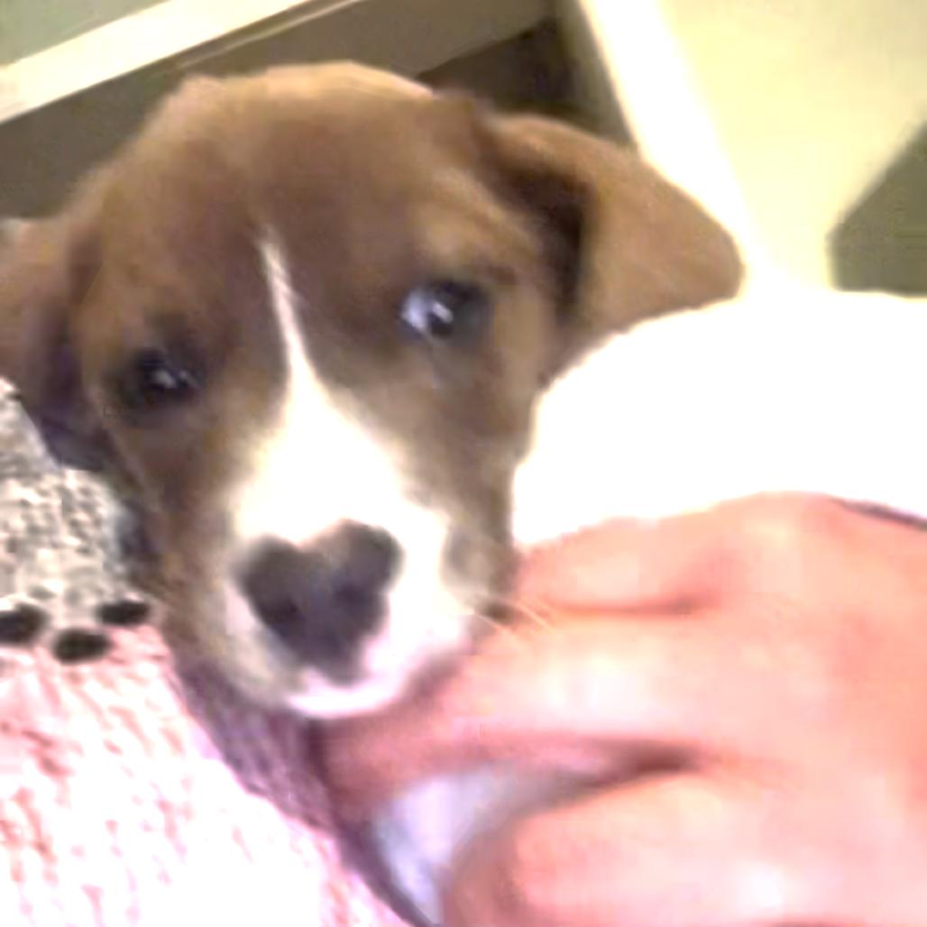 Starvin' Marvin thumbnail 2