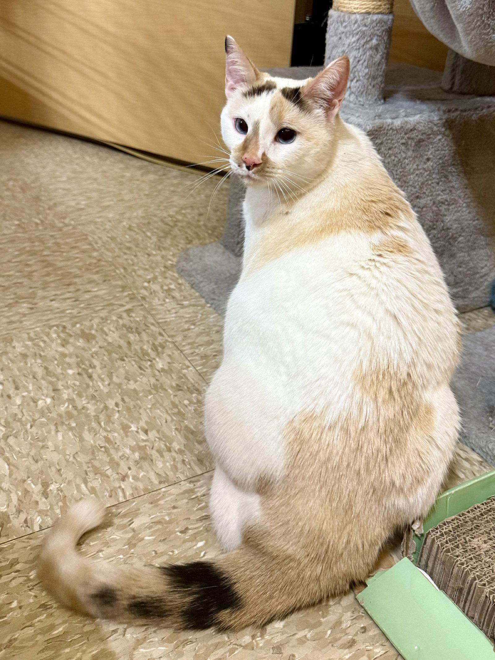 Sophie 6.18.24 — thumbnail 2