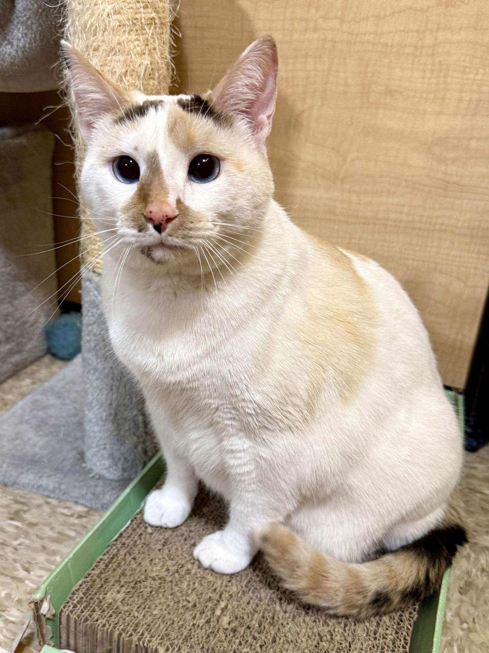 Sophie 6.18.24 — thumbnail 3