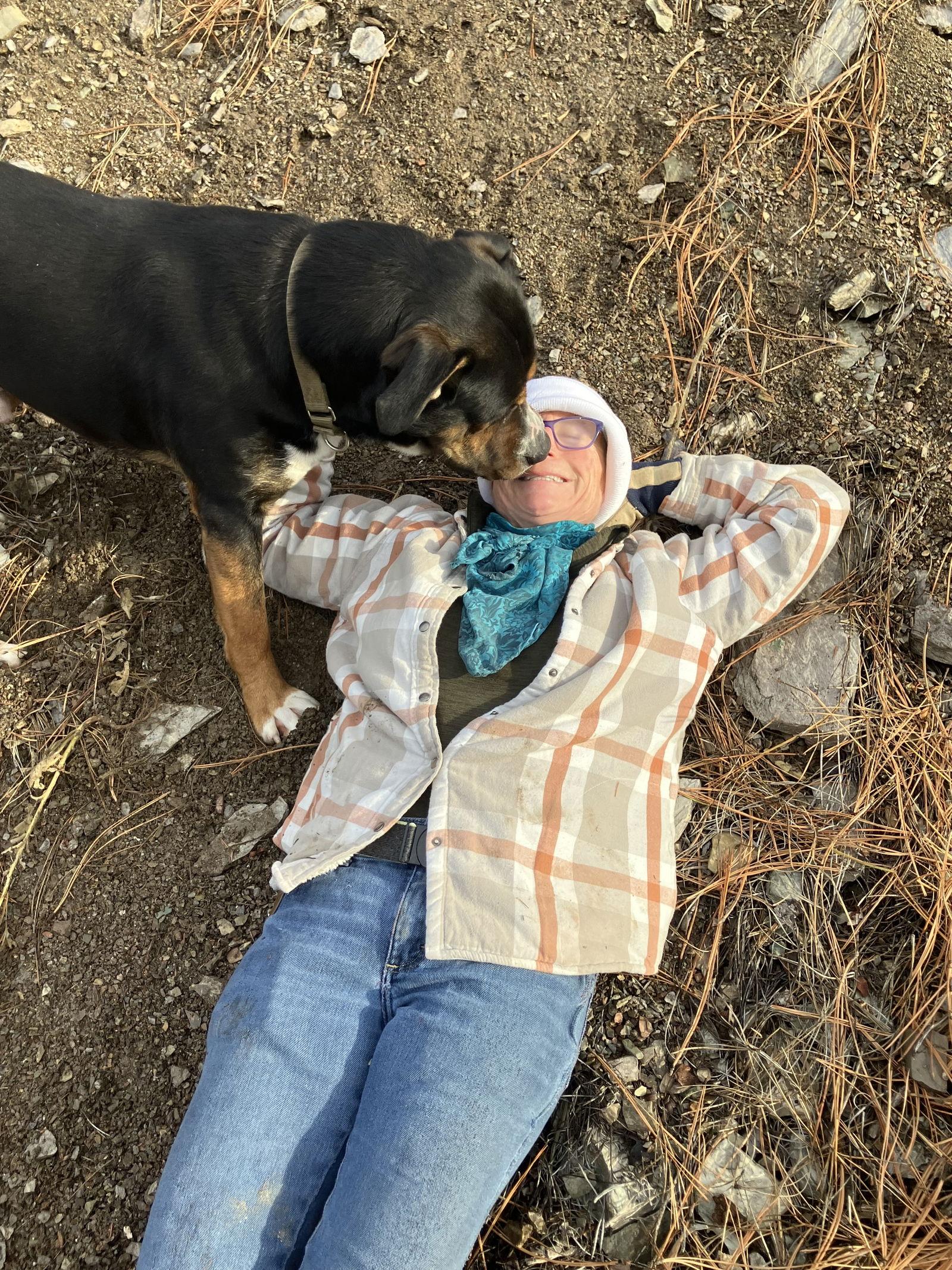 Enlarge Loki, a Adoptable Mixed Breed in Polson, MT image 2/3