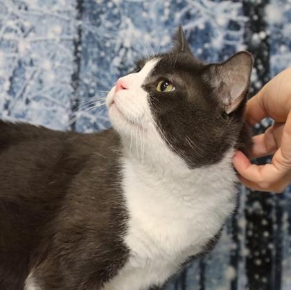 Patience — thumbnail 4