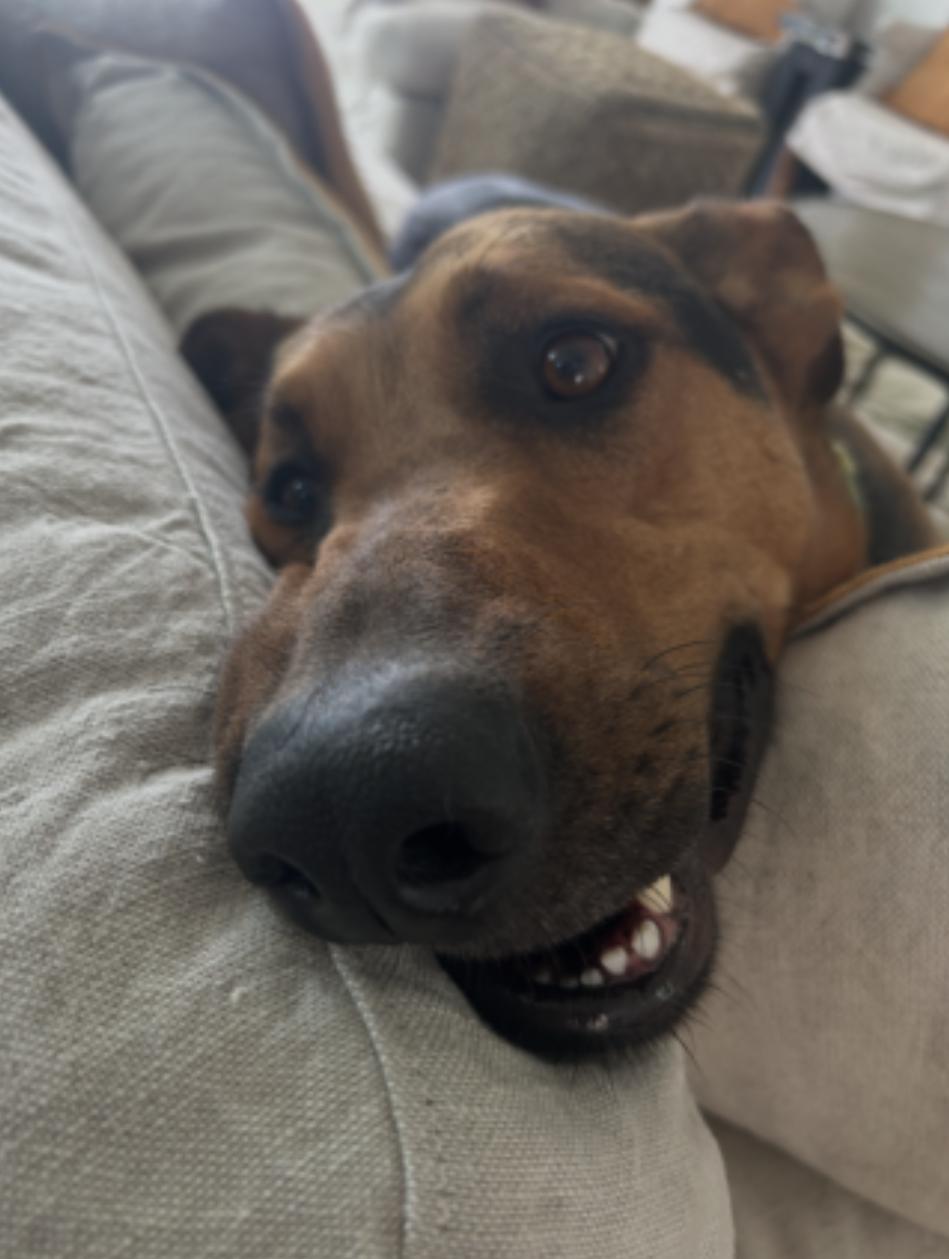 Tucker — thumbnail 3