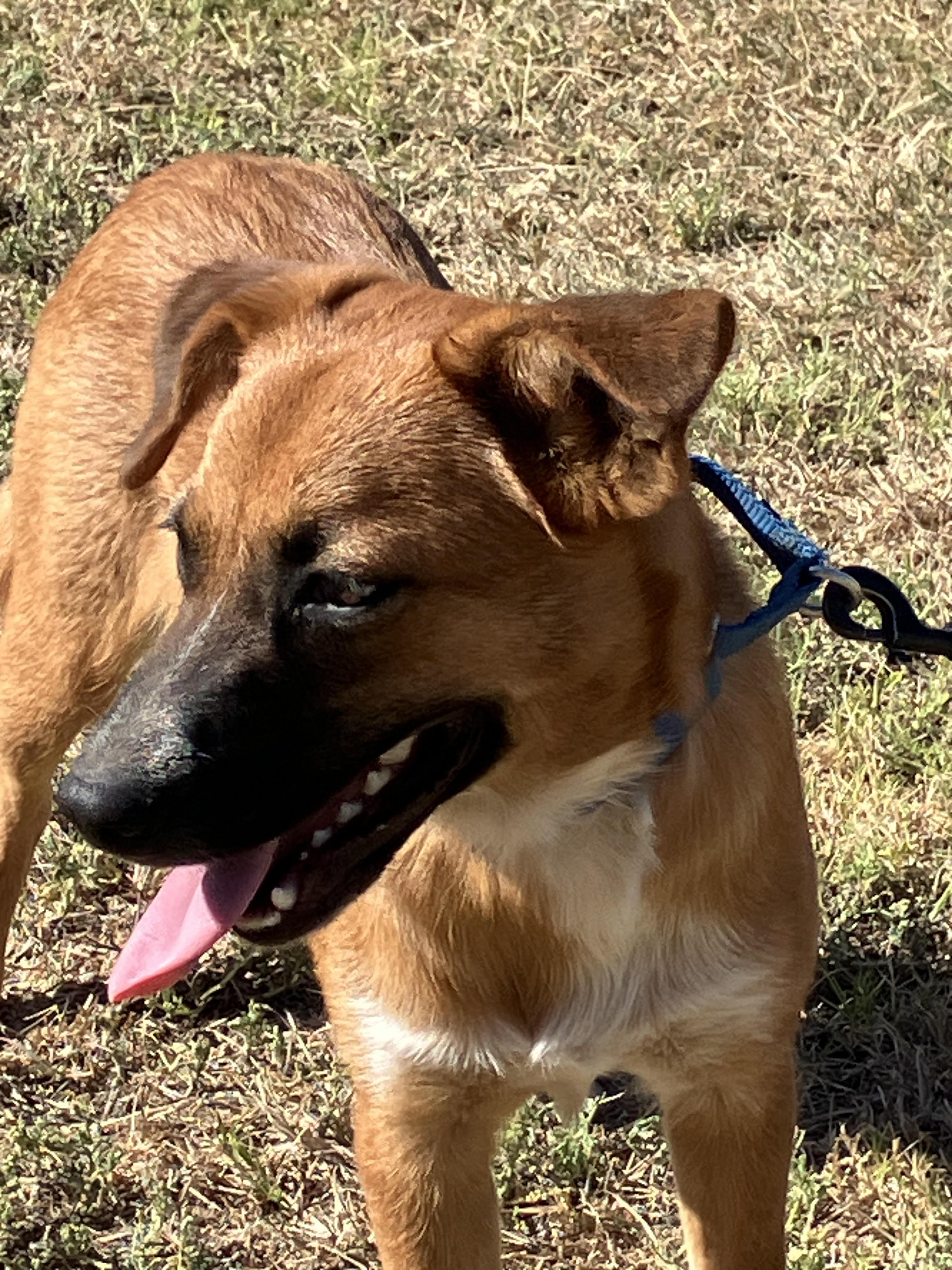 TANNER-Totally Terrific